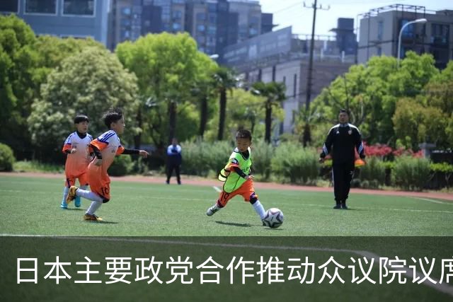 日本主要政党合作推动众议院议席结构改革的政治分析